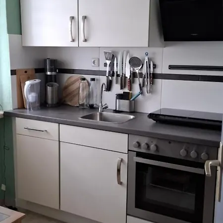 Ferien-geschaeftswohnung Apartment
