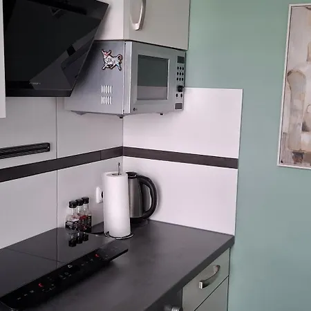 Ferien-geschäftswohnung Apartment *